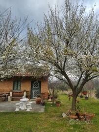 Terreno con caratteristico rustico