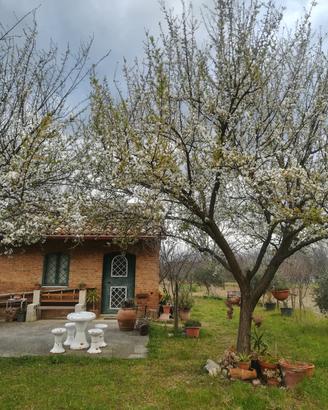 Terreno con caratteristico rustico