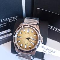 Citizen Marine 1810