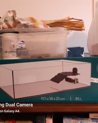 acquario per tartarughe 