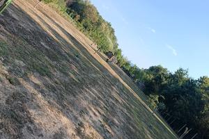 terreno agricolo 