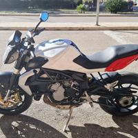 MV AGUSTA Brutale 800 PERFETTA