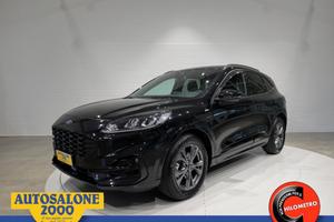 FORD Kuga 1.5 EcoBlue 120 CV aut. 2WD ST-Line PR