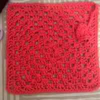 Copertina per animali domestici