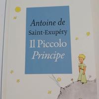 libro Il Piccolo Principe