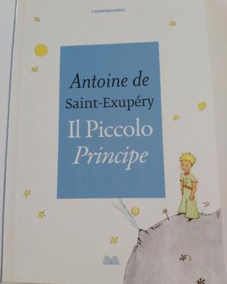 libro Il Piccolo Principe