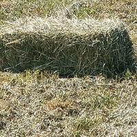 Ballette fieno 15kg