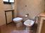 Immagine 7