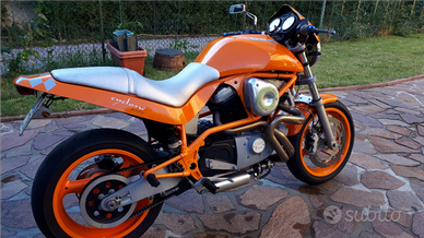 Buell -Harley Davidson