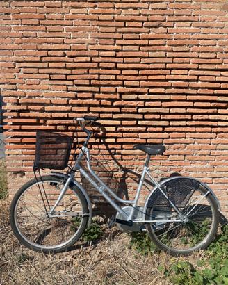 Bici da passeggio donna 24 pollici