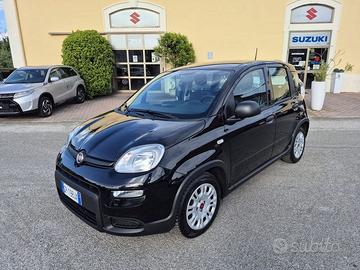FIAT Panda 1.0 firefly hybrid s&s 70cv 5p.ti