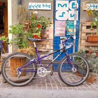 Bianchi Ragno Pholcus MTB