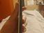 Immagine 5