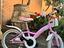 Immagine 4