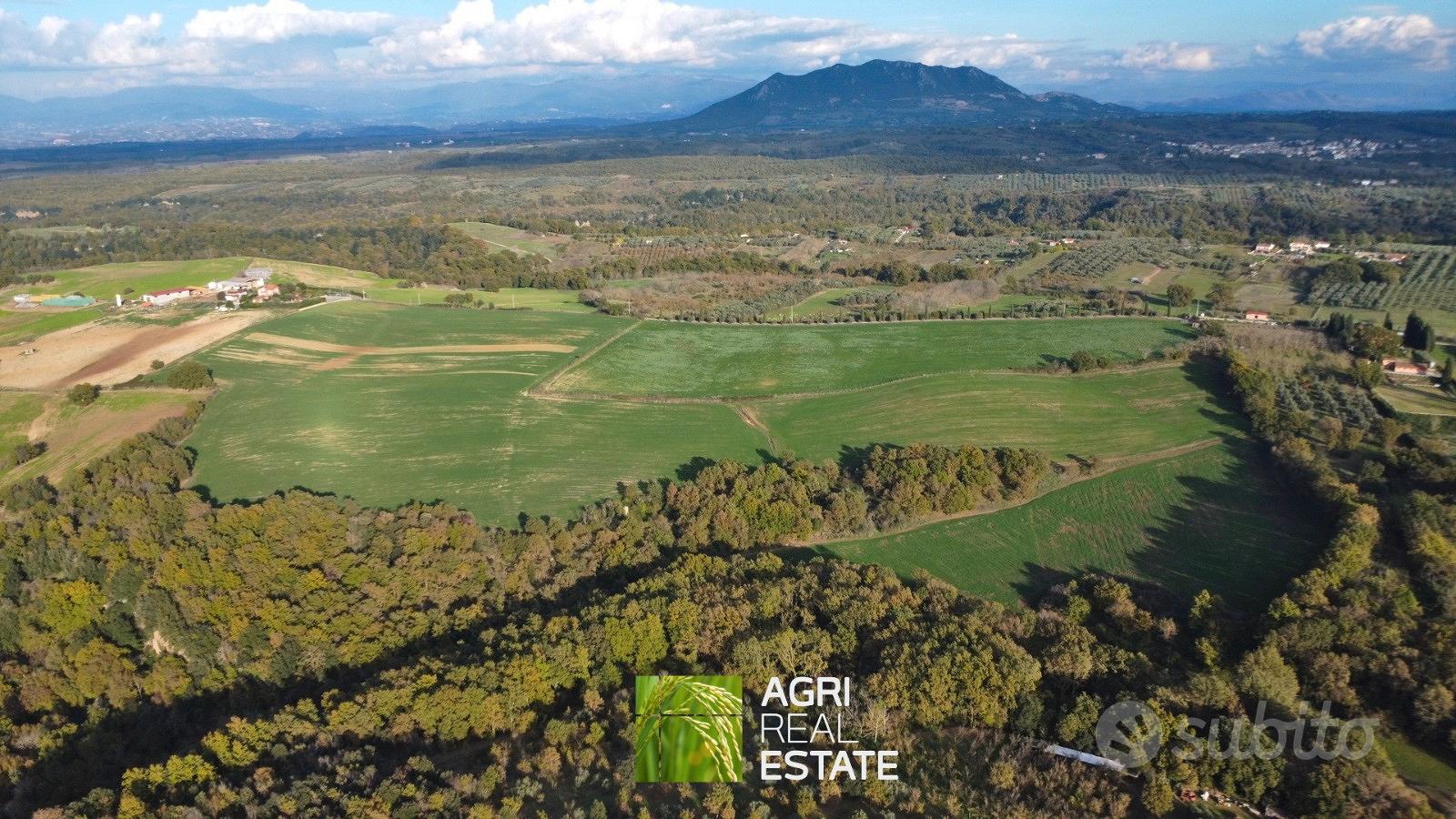 Terreno agricolo 18 ettari con fabbricato diruto - Vista 3