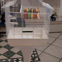 Gabbia canarini o pappagalli  con piedinstallo