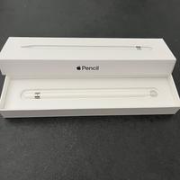 Penna per iPad Apple pencil