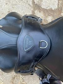 Sottopanica antomico dressage Acavallo 60