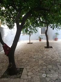 Indipendente 2 livelli con giardino privato