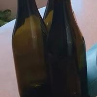 22 Bottiglie Emiliane per vino/spumante