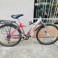 bicicletta mbt MOSER  70 €