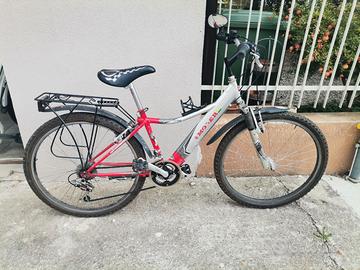 bicicletta mbt MOSER  70 €