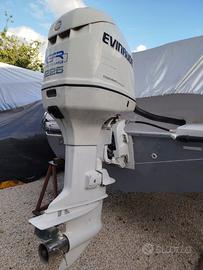 Motore marino EVINRUDE 225cv