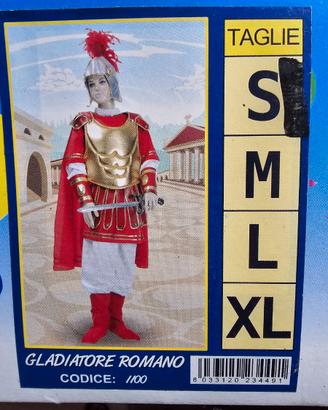 Vestito Carnevale