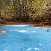 Casa nel bosco e casette Etna Nord sopra i 1000 m