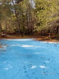 Casa nel bosco e casette Etna Nord sopra i 1000 m