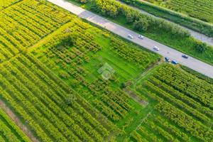 TER. AGRICOLO A MONTECCHIA DI CROSARA