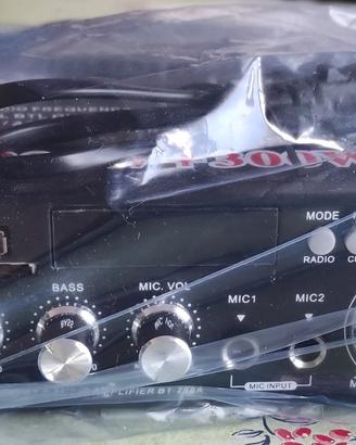 Radio/Sintonizzatore/Amplificatore audio stereo