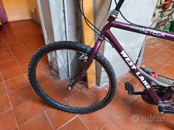 bicicletta 