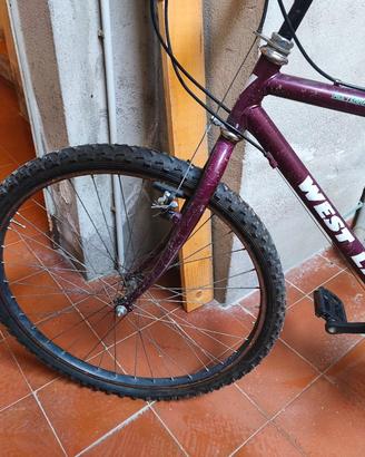 bicicletta 