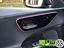 Immagine 13