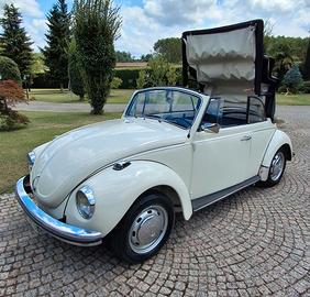 VOLKSWAGEN MAGGIOLINO CABRIO VETRO PIATTO