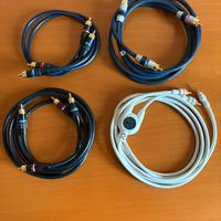 Monster Cable Cavi di Segnale