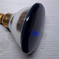 Lampada PAR38 150W Spot, Blu - PHILIPS