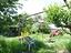 Immagine 24