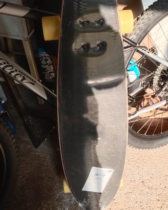 skateboard, longboard