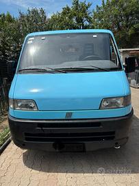 Ducato