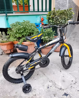 Bici bambino 16
