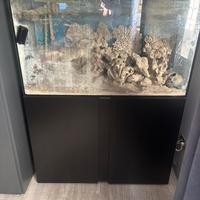 Acquario marino