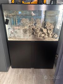 Acquario marino