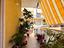 Immagine 29