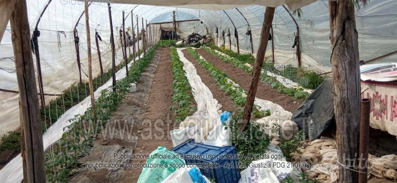 Terreno Agricolo Pontecagnano Faiano [A4298880] - Vista 4