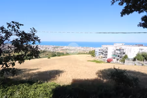 3 LOCALI A TORTORETO