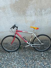 2 biciclette