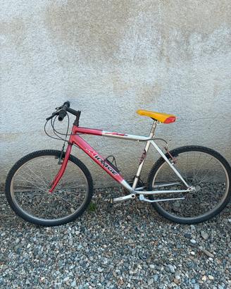 2 biciclette