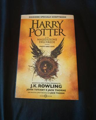 Libro Harry Potter